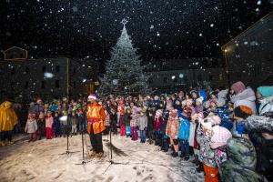 024 Pozdrav zimi inpraznik luci Foto atelje Postojna
